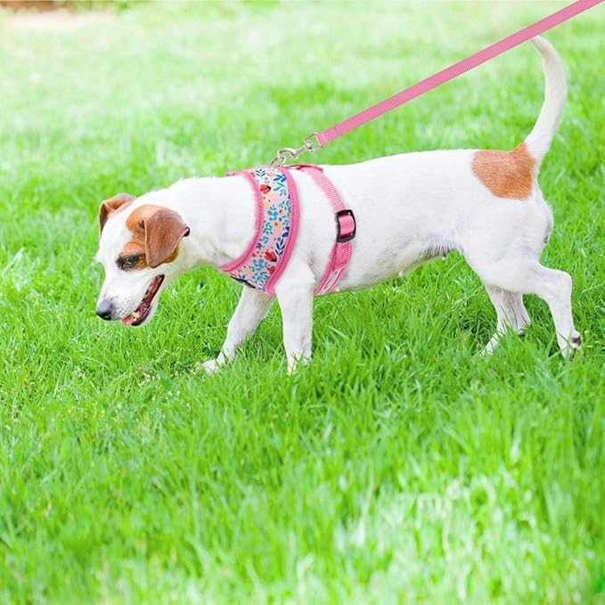 PUPTECK Soft Mesh Dog Harness and Leash Set Pet Puppy Cat Comfort Padded Vest No Pull Harnesses, Pink Floral, S PUPTECK