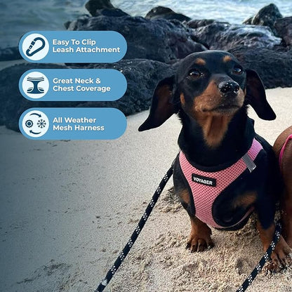 Voyager Step-in Air Dog Harness - All Weather Mesh, Reflective, No Pull Harness for Small, Medium Dogs, Cats - Secure with Hook & Loop Fastener, Buckle, Double D-Rings - Pink/Black Trim, M BestPetSuppliesLLC
