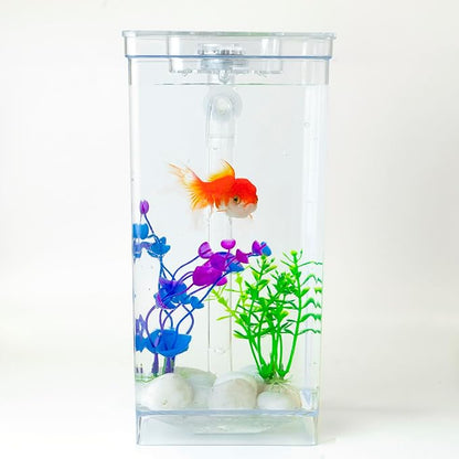 My First Fish Tank™ 1 Gallon Mini Small Fish Tank, Easy Maintenance, Self Cleaning-no Need Power, No Noise, with LED Light, Beautiful White Pebbles, Perfect Starter Kit for Kids ODOTTAA