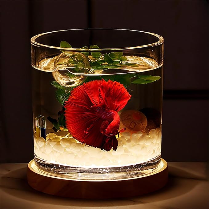 Aquarium Starter Kits 0.81-Gallon Fish Tank（6 inches） for Beginner Cylindrical Betta Fish Bowl with Wooden Base LED Light Water Pump Accessories Self-Cleaning Filter Copyright Patent PAWPICO