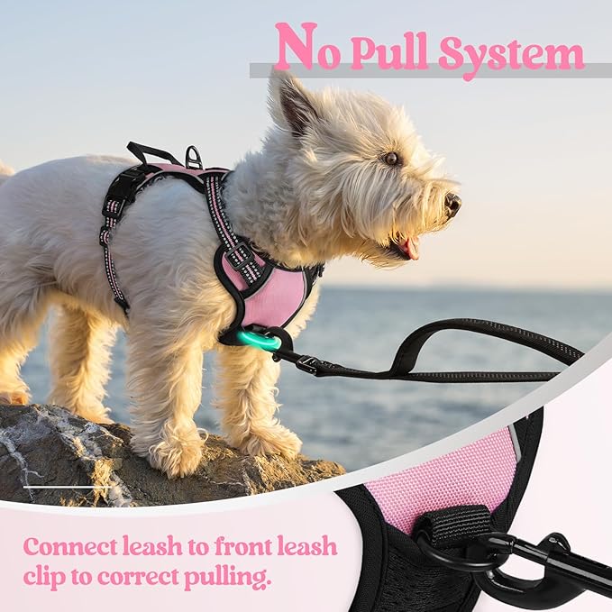 rabbitgoo Dog Harness No Pull with 2 Leash Clips, Adjustable Soft Padded, Reflective Oxford No Choke Pet Vest with Easy Control Handle for Puppy, Pink, XS rabbitgoo