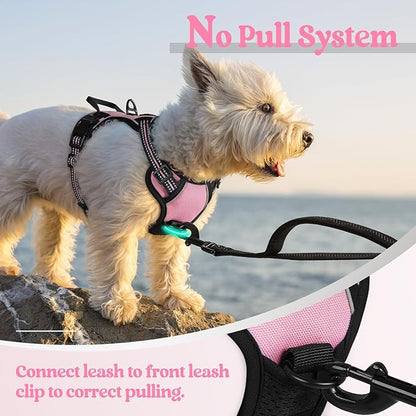 rabbitgoo Dog Harness No Pull with 2 Leash Clips, Adjustable Soft Padded, Reflective Oxford No Choke Pet Vest with Easy Control Handle for Puppy, Pink, XS rabbitgoo