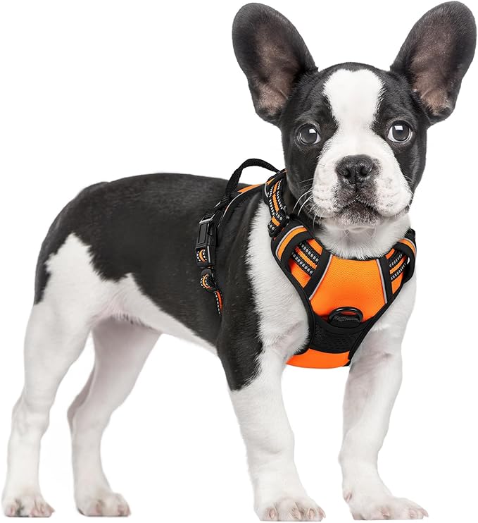 rabbitgoo Dog Harness No Pull with 2 Leash Clips, Adjustable Soft Padded, Reflective Oxford No Choke Pet Vest with Easy Control Handle for Small Dogs,Orange,S rabbitgoo
