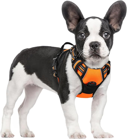 rabbitgoo Dog Harness No Pull with 2 Leash Clips, Adjustable Soft Padded, Reflective Oxford No Choke Pet Vest with Easy Control Handle for Small Dogs,Orange,S rabbitgoo