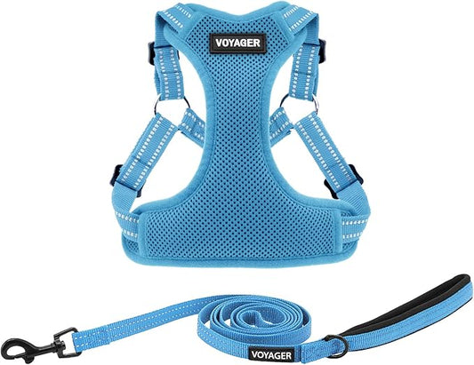 Best Pet Supplies Voyager Adjustable Dog Harness Leash Set with Reflective Stripes for Walking Heavy-Duty Full Body No Pull Vest with Leash D-Ring, Breathable All-Weather - Harness (Baby Blue), S BestPetSuppliesLLC