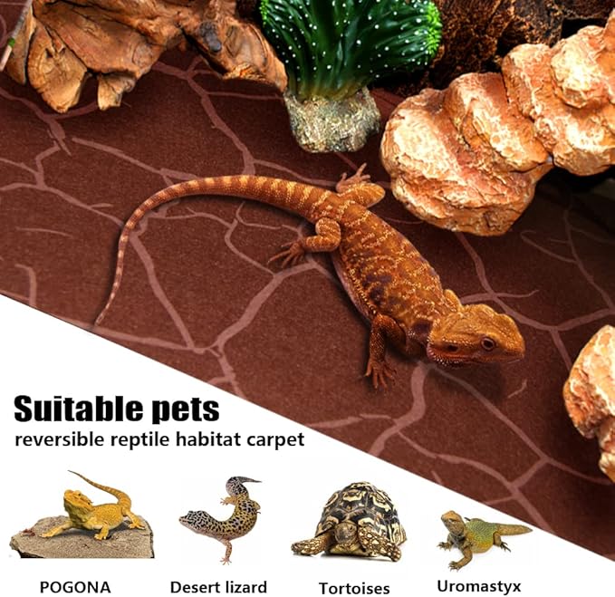2 Pack Reptile Carpet Desert Reptile Mat & Reversible Substrate, Terrarium Liner Bedding, for Lizard,Chameleon,Gecko,Snake,Ceratophrys with Tweezers Feeding Tong (20 Gallon(30x12in)) REP+BUDDY