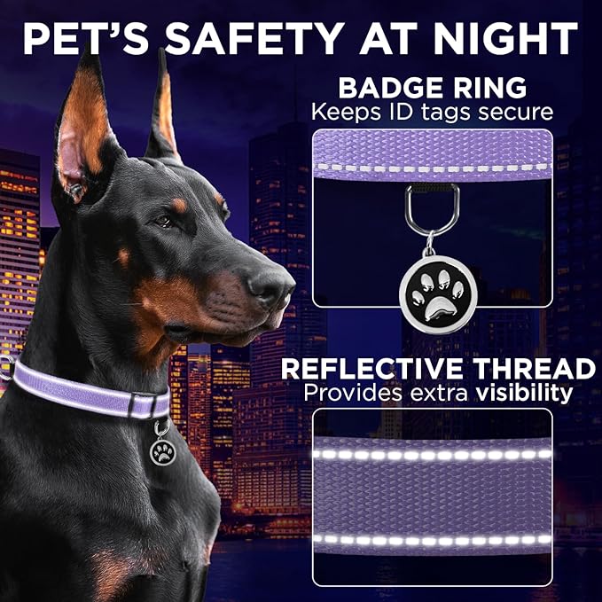 TECEUM Reflective Pet Collar – Lavender – L – Basic Nylon Dog Collar – Quick Release Buckle – Fits Small, Medium and Large Dogs, Puppies, Cats – ESA & Service Dog Options TECEUM