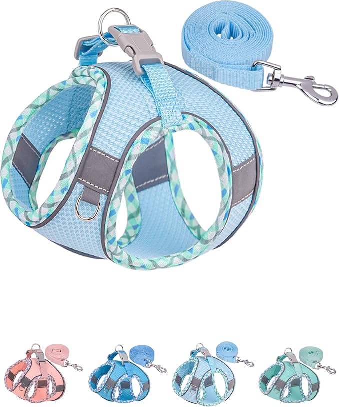 Petank Dog Harness for Small Medium Dogs No Pull, Puppy Harness and Leash Set, Easy Walk Dog Harness for Walking, Running, Training, Small Dog Harness, Medium Dog Harness (Light Blue, M) Petank