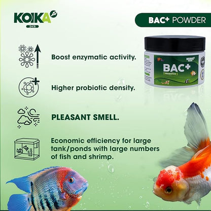 KOIKA BAC+ Powder probiotics, Pleasant Smell, Higher Probiotic, Immunity Boosting, Disease Resistance (BAC+(Powder), 2.82 oz) Koika