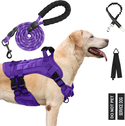 No Pull Tactical Dog Harness for Small Dogs, Escape Proof Molle Dog Vest Harness and Leash Set, Adjustable Military Service Dog Harness with Handle for Medium Large Dogs(S:25"-30"Chest Girth) Yungaspy