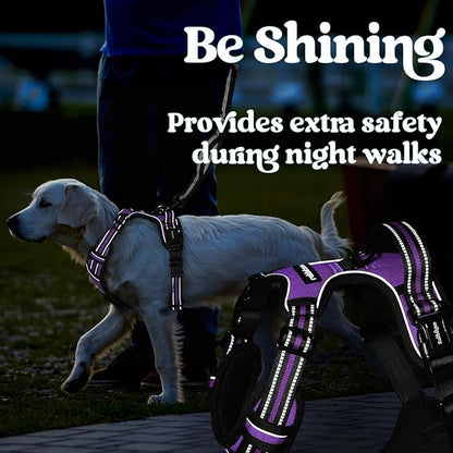 rabbitgoo Dog Harness Medium Sized, No Pull Pet Harness with 3 Buckles, Adjustable Soft Padded Pooch Vest with Instant Control Handle, Easy Walking Reflective Pet Vest for Medium Dogs, Purple, M - PAWPICO