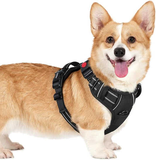 rabbitgoo Dog Harness Small Sized, No Pull Pet Harness with 3 Buckles, Adjustable Soft Padded Pooch Vest with Instant Control Handle, Easy Walking Reflective Pet Vest for Small Dogs, Black, S rabbitgoo