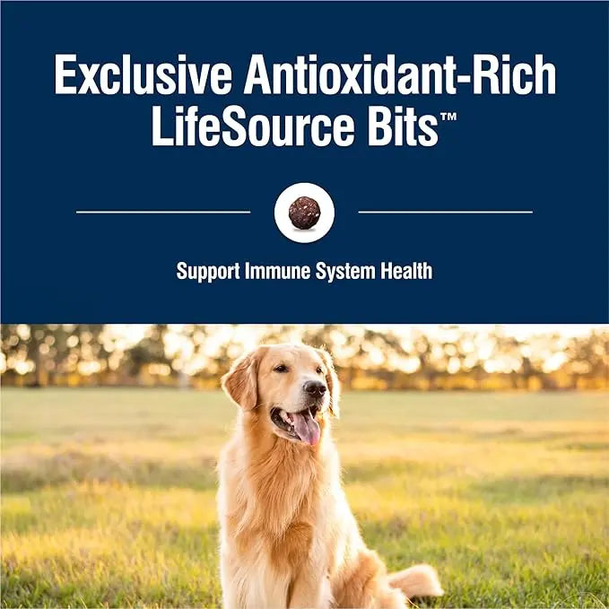 Blue Buffalo True Solutions Perfect Skin & Coat Natural Dry Food for Adult Dogs, Salmon, 11-lb. Bag - PAWPICO