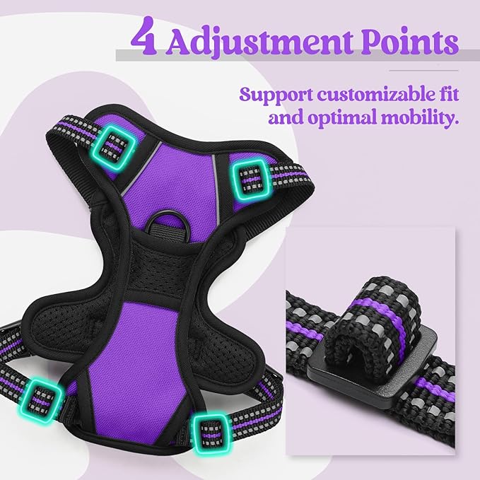 rabbitgoo Dog Harness No Pull with 2 Leash Clips, Adjustable Soft Padded, Reflective Oxford No Choke Pet Vest with Easy Control Handle for Puppy, Purple,XS rabbitgoo