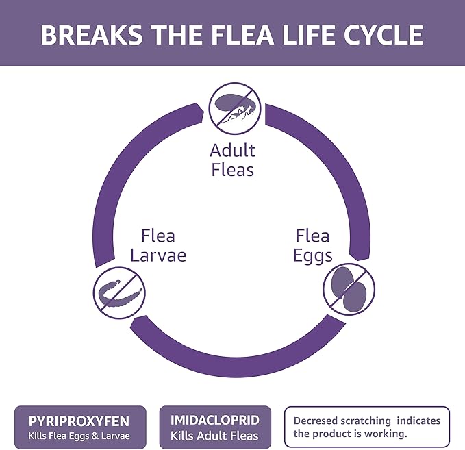 Amazon Basics Flea Topical for Large Cats (over 9 pounds), 4 Count (Previously Solimo) AmazonBasics