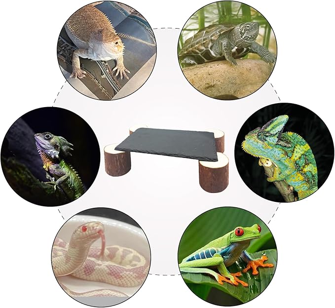 Bearded Dragon Basking Platform with Wooden Pile,Reptiles Hideout Cave,Turtle Basking Rock,Terrarium Habitat Decor Tank Accessories for Tortoise Lizards Snakes Chameleon Style D Gxsdj