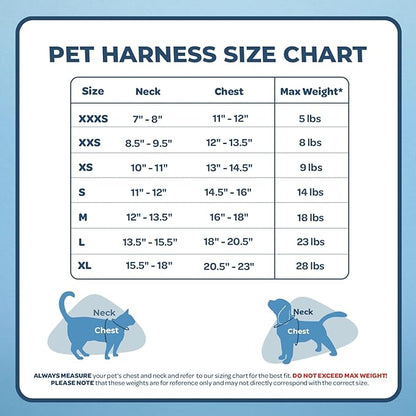 Voyager Step-in Air Dog Harness - All Weather Mesh, Reflective, No Pull Harness for Small, Medium Dogs, Cats - Secure with Hook & Loop Fastener, Buckle, Double D-Rings - Blue, M BestPetSuppliesLLC