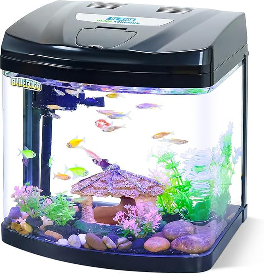 3 Gallon Glass Aquarium Starter Kit with Flip-Top Feeding Port for Betta Fish: Crystal Clear 360° Viewing, Eco-Cycle Filtration, Air Pump, and LED Lighting Bluecoco