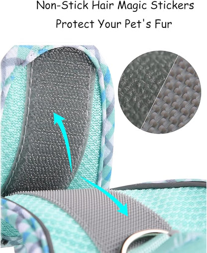 Petank Dog Harness for Small Medium Dogs No Pull, Puppy Harness and Leash Set, Easy Walk Dog Harness for Walking, Running, Training, Small Dog Harness, Medium Dog Harness (Light Blue, XS) Petank