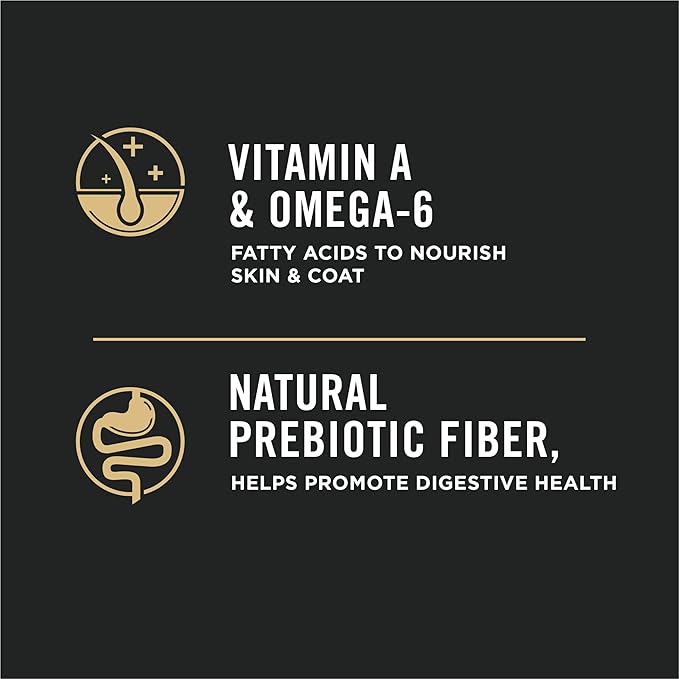 Purina Pro Plan Complete Essentials Shredded Blend Turkey and Rice Dog Food Dry Formula with Probiotics for Dogs - 5 lb. Bag - PAWPICO