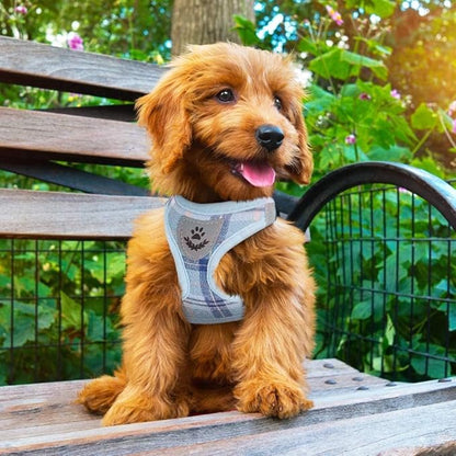 PUPTECK Adjustable Dog Harness Collar and Leash Set Step in No Pull Pet Harness for Small Medium Dogs Puppy and Cats Outdoor Walking Running, Soft Mesh Padded Reflective Vest Harnesses, Blue M PUPTECK