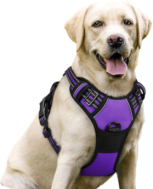 rabbitgoo Dog Harness No Pull with 2 Leash Clips, Adjustable Soft Padded, Reflective Oxford No Choke Pet Vest with Easy Control Handle for Large Dogs, Purple, L rabbitgoo