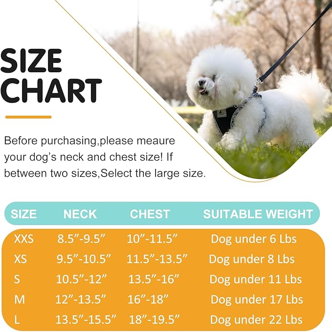 Dog Harness and Leash Set, No Pull Pet Harness for Small Dogs Easy Walking,Soft Breathable Small Dog Harness,Adjustable Reflective Step in Vest Harness for Puppy,Kitten, Cats TomteNisse