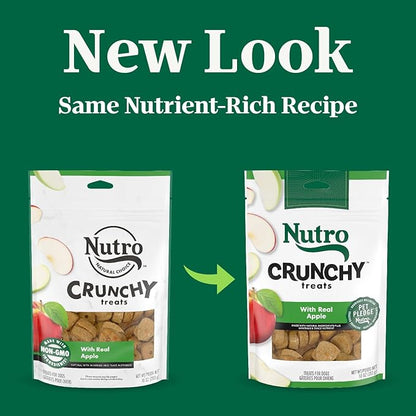 NUTRO Crunchy Dog Treats with Real Apple, 10 oz. Bag - PAWPICO