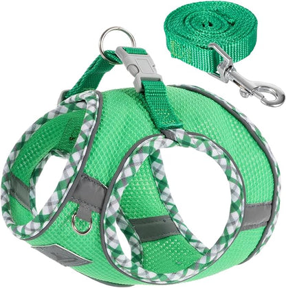 Dog Harness and Leash Set, No Pull Pet Harness for Small Dogs Easy Walking,Soft Breathable Small Dog Harness,Adjustable Reflective Step in Vest Harness for Puppy,Kitten, Cats TomteNisse
