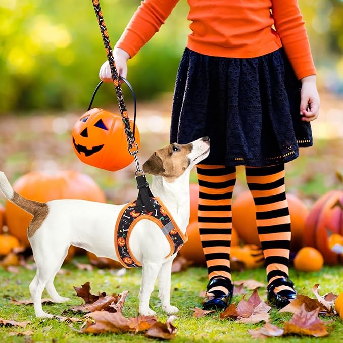 PUPTECK Adjustable Dog Harness Collar and Leash Set Step in No Pull Pet Harness for Small Medium Dogs Puppy and Cats Outdoor Walking Running, Soft Mesh Padded Reflective Vest Harnesses, Halloween, M PUPTECK