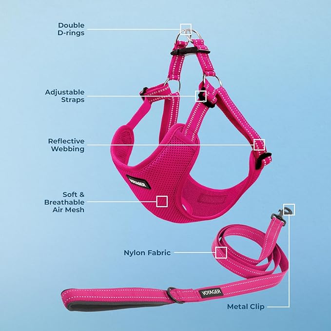Best Pet Supplies Voyager Adjustable Dog Harness Leash Set with Reflective Stripes for Walking Heavy-Duty Full Body No Pull Vest with Leash D-Ring, Breathable All-Weather - Harness (Fuchsia), M BestPetSuppliesLLC