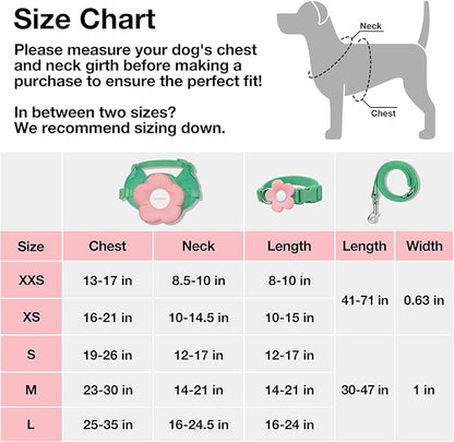 VETRESKA Flora Dog Harness, Leash and Collar Set, No Pull Dog Vest Harness for Walking and Training, Adjustable, Easy Control and Soft Padded Pet Harness and Backpack for Small Medium Large Dogs, S VETRESKA