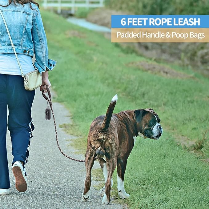 BAAPET 2/4/5/6 FT Dog Leash with Comfortable Padded Handle and Highly Reflective Threads for Small Medium and Large Dogs (6FT-1/2'', Black) BAAPET