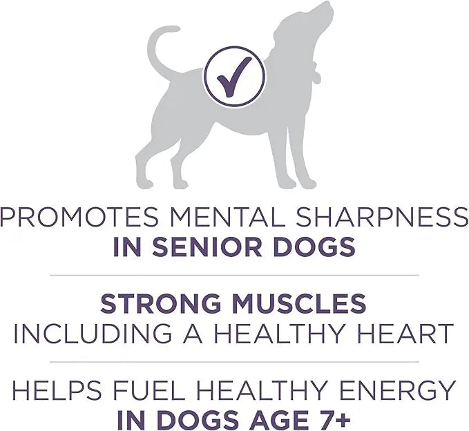 Purina ONE High Protein Dry Senior Dog Food Plus Vibrant Maturity Adult 7 Plus Formula - 31.1 lb. Bag - PAWPICO