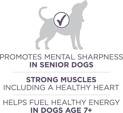 Purina ONE High Protein Dry Senior Dog Food Plus Vibrant Maturity Adult 7 Plus Formula - 31.1 lb. Bag - PAWPICO