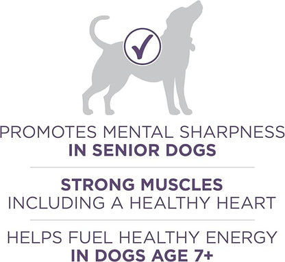 Purina ONE High Protein Dry Senior Dog Food Plus Vibrant Maturity Adult 7 Plus Formula - 16.5 lb. Bag - PAWPICO