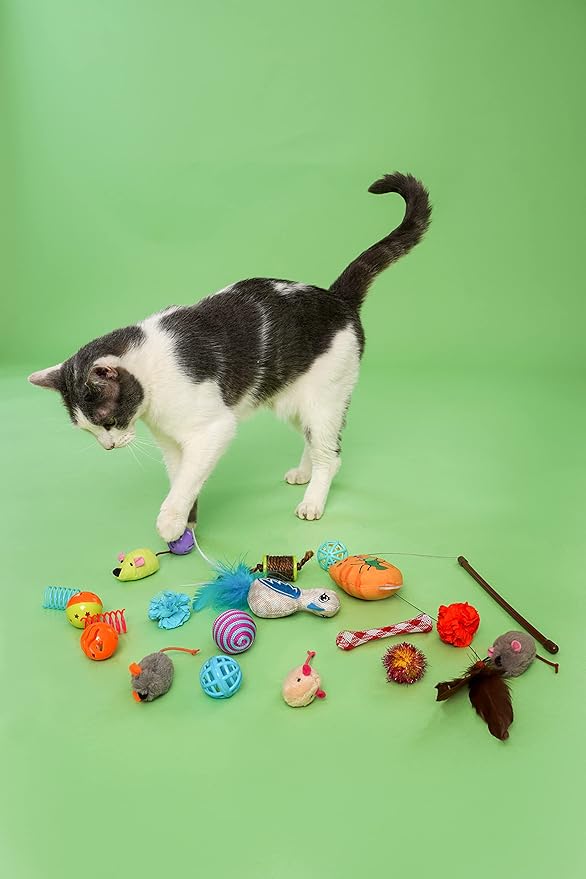 Cattraction with Silver Vine & Catnip Cat Toy Variety Pack, 20 Count - PAWPICO