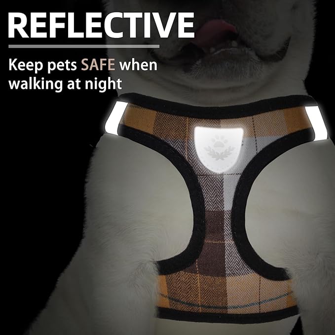 PUPTECK Adjustable Dog Harness Collar and Leash Set Step in No Pull Pet Harness for Small Medium Dogs Puppy and Cats Outdoor Walking Running, Soft Mesh Padded Reflective Vest Harnesses, Orange XXS PUPTECK