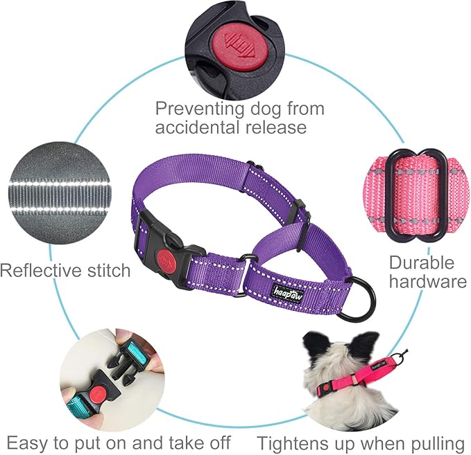 haapaw 2 Packs Martingale Dog Collar with Quick Release Buckle Reflective Dog Training Collars for Small Medium Large Dogs (Small, Purple/Purple) haapaw