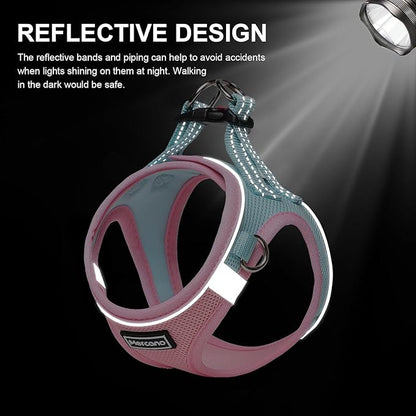 Mercano Soft Mesh Dog Harness and Leash Set, No-Chock Step-in Reflective Breathable Lightweight Easy Walk Escape Proof Vest Harnesses with Safety Buckle for Small Medium Dogs, Cats (XXS, Pink Blue) PAWPICO