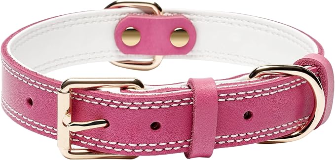 Dog Collar,Genuine Leather Dog Collar,Heavy Duty Dog Collar,Valentines Dog Collar for Small Dog, Medium Dog,Large Dog and Extra Large Dog (M: 1" Wide for 15.2"-19.2" Neck,Dual Stitch - Pink) DAIHAQIKO