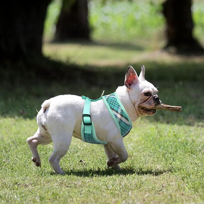 PUPTECK Soft Mesh Dog Harness and Leash Set Pet Puppy Cat Comfort Padded Vest No Pull Harnesses, Green, M PUPTECK