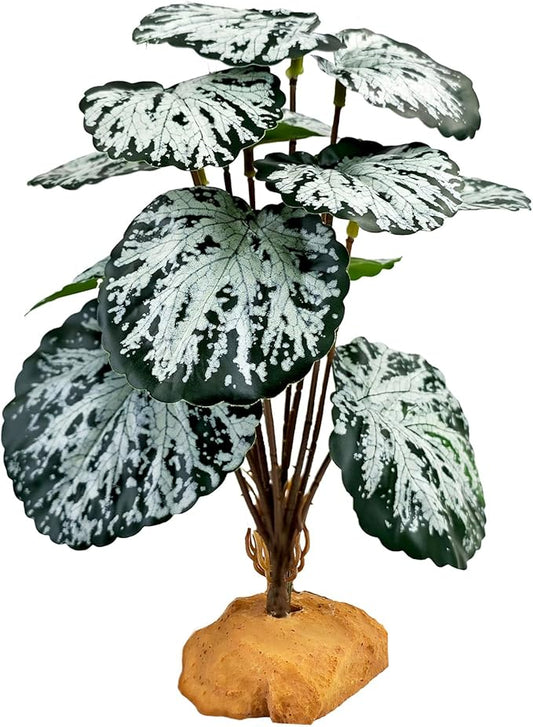 Woyrise Reptile Artificial Plants for Terrarium Decor, Amphibian Habitat Decorations Bearded Dragon Tank Accessories fit Crested Gecko Leopard Lizard Chameleon Snake Frog - Fake Spots Heuchera Woyrise