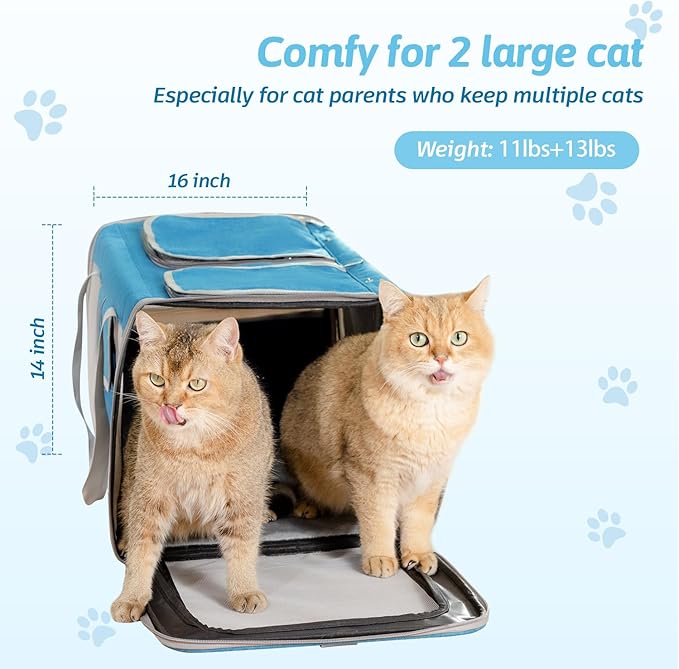 Sedioso Large Cat Carrier for 2 Cats, 24x 14x 16in Pet Carrier for Cat and Dog Up to 40lbs, All-Sided Mesh Large Cat Carrier with Great Ventilation, Portable Soft Sided Pet Carrier for Traveling - PAWPICO