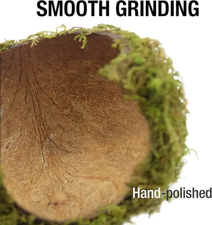 Hamster Hideaway,Hamster Hideout,Mossy Cave Hide,Hamster House/Hides,Hamster Cage Accessories for Gguinea Pig/Hedgehogs/Gliders/Rats/Mice and Other Small Animals (Small) SanmooAio