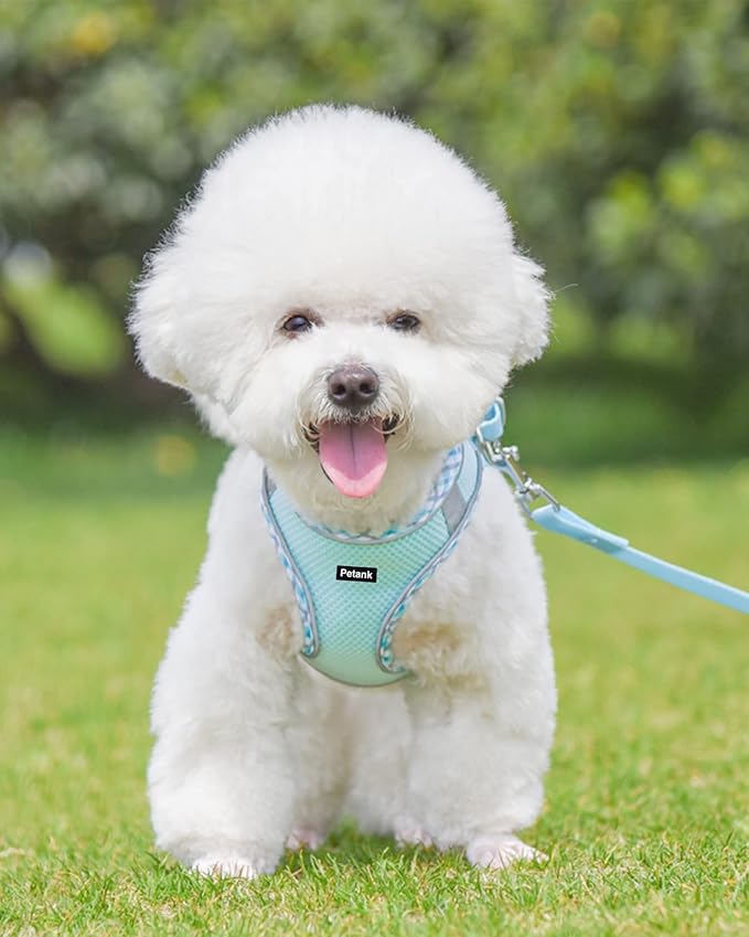 Petank Dog Harness for Small Medium Dogs No Pull, Puppy Harness and Leash Set, Easy Walk Dog Harness for Walking, Running, Training, Small Dog Harness, Medium Dog Harness (Light Blue, L) - PAWPICO