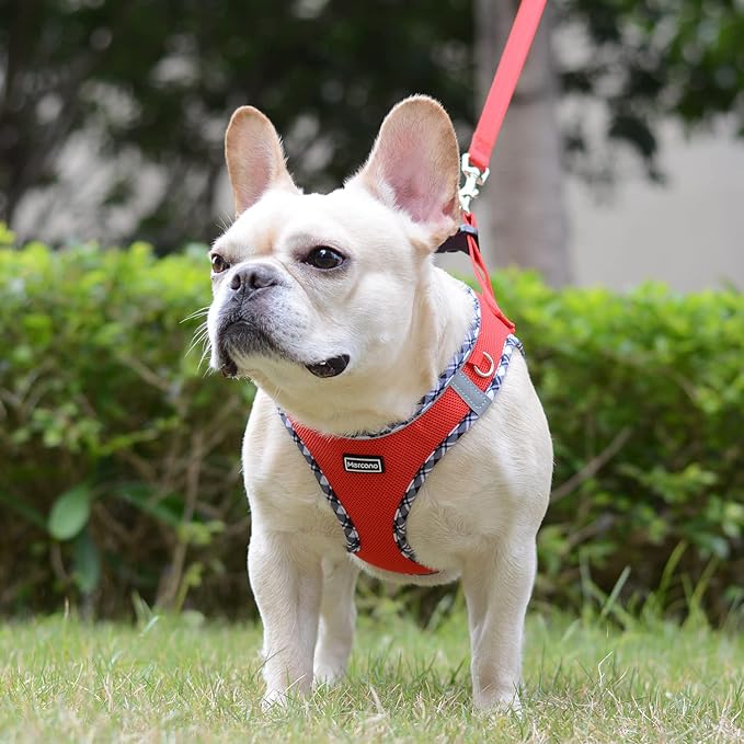 Mercano Soft Mesh Dog Harness and Leash Set, No-Chock Step-in Reflective Breathable Lightweight Easy Walk Escape Proof Vest Harnesses with Safety Buckle for Small Medium Dogs, Cats (Red, XS) PAWPICO