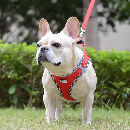 Mercano Soft Mesh Dog Harness and Leash Set, No-Chock Step-in Reflective Breathable Lightweight Easy Walk Escape Proof Vest Harnesses with Safety Buckle for Small Medium Dogs, Cats (Red, XS) PAWPICO