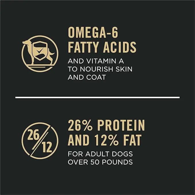 Purina Pro Plan Large Breed Dry High Protein Dog Food With Probiotics for Dogs, Beef and Rice Formula - 47 lb. Bag - PAWPICO