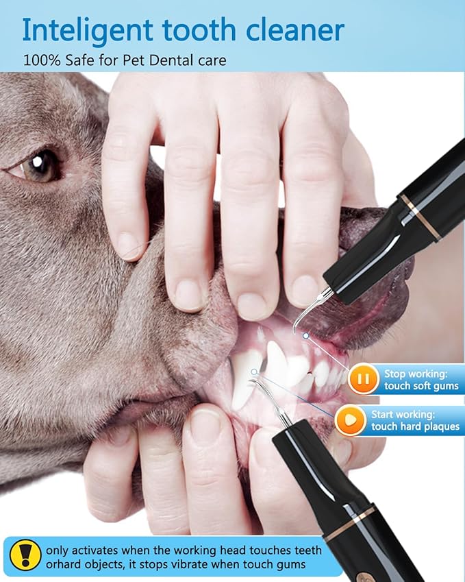 Hansaplast Plaque Remover for Teeth, Dog Teeth Cleaning, Dental Tools to Remove Tartar and Stains, Safe for Dogs & Cats, with Led Light & 5 Adjustable Modes(White) Hansaplast